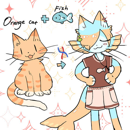 Evolution of orange cat Evolution of orange cat