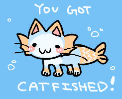 Cat fish